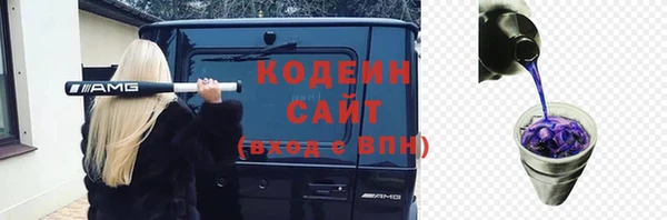 индика Михайлов