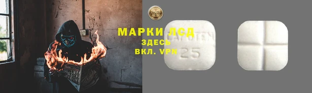 индика Михайлов